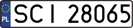 SCI28065