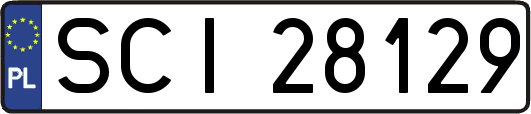 SCI28129