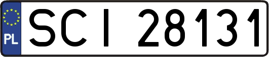 SCI28131