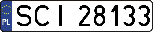 SCI28133