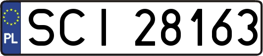 SCI28163
