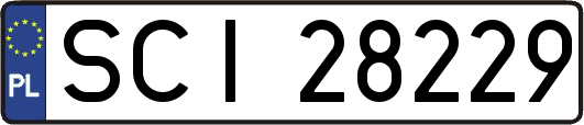 SCI28229