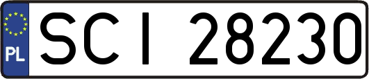 SCI28230