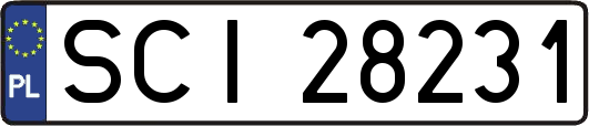 SCI28231
