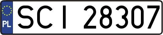 SCI28307