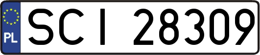 SCI28309
