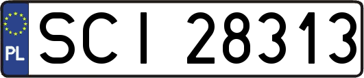 SCI28313