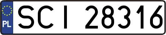 SCI28316
