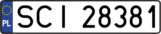 SCI28381