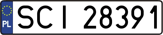 SCI28391