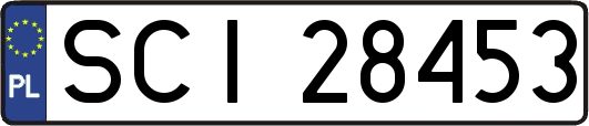 SCI28453