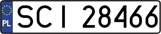 SCI28466