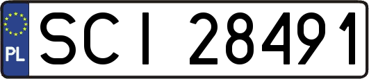 SCI28491