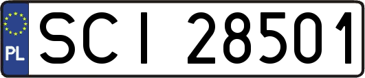 SCI28501