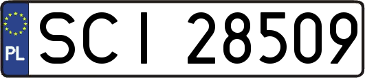 SCI28509