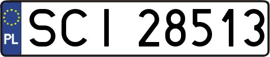 SCI28513