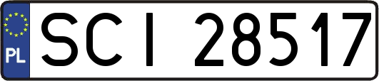 SCI28517