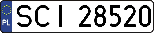 SCI28520