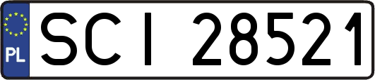 SCI28521