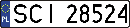 SCI28524