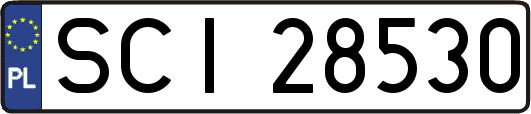 SCI28530