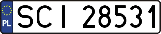 SCI28531