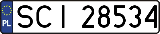 SCI28534