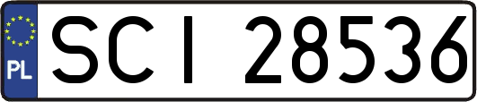 SCI28536