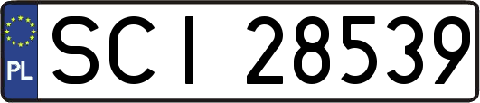 SCI28539