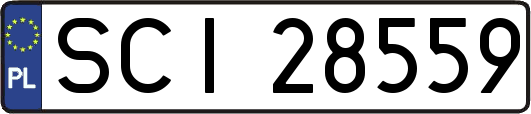 SCI28559