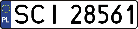 SCI28561