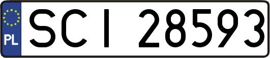 SCI28593