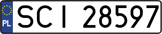 SCI28597