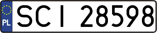 SCI28598