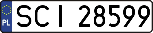 SCI28599