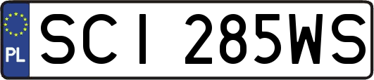 SCI285WS