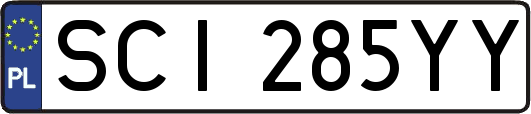 SCI285YY