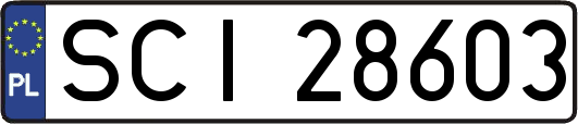 SCI28603