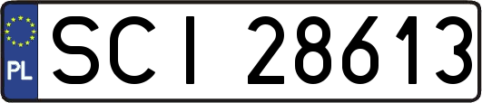 SCI28613
