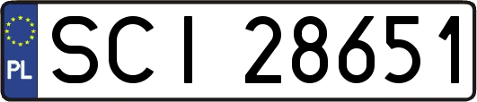 SCI28651