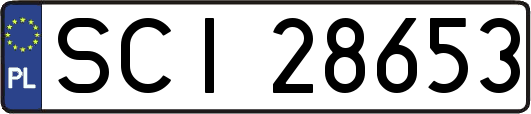 SCI28653