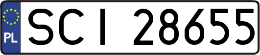 SCI28655