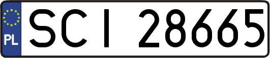 SCI28665