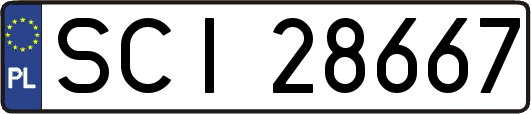 SCI28667