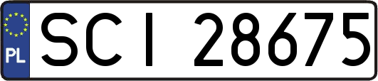 SCI28675