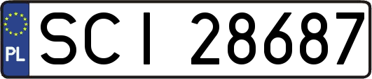 SCI28687