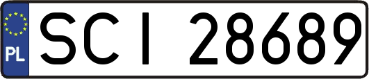 SCI28689
