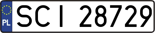 SCI28729