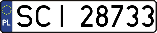 SCI28733