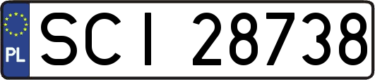 SCI28738